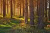 StoraBilder/MT-img-0550.jpg
